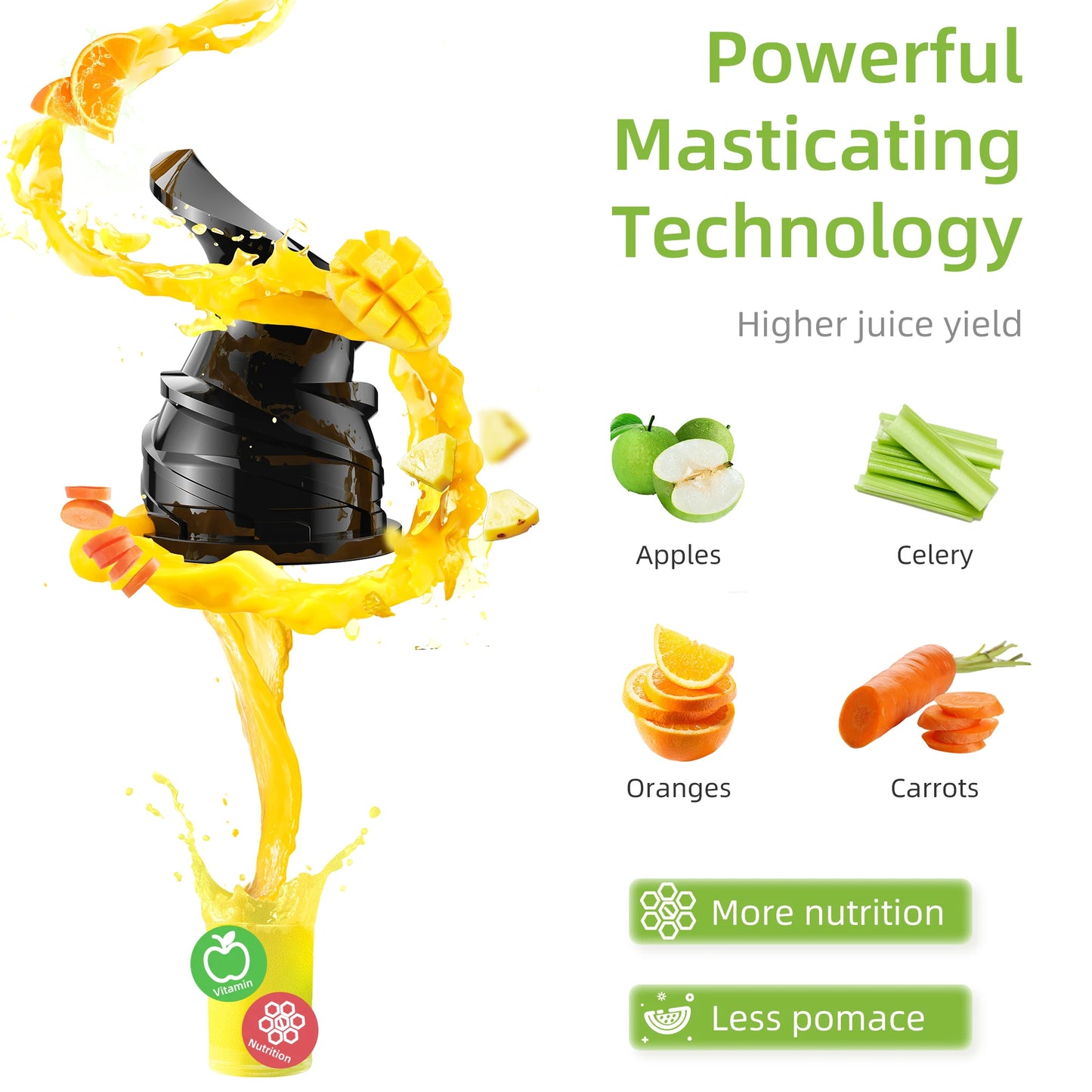 Blendease 78 Cold Press Juicer